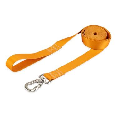 Imagem de Basic Pet Coleira Guia 5 Metros Para Cães Cachorro Adestramento Passeio Porte Grande Médio Pequeno (Caramelo, P)