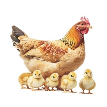 Imagem de WeiLaiKeQi Adesivo de parede de galinha, arte de parede, decoração, galos, galinhas, adesivo de janela resistente ao desgaste, papel de parede de PVC para sala