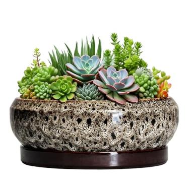Imagem de EPFamily Vasos de bonsai de cerâmica, vaso de 25 cm com orifícios de drenagem e pires, leopardo marrom-branco