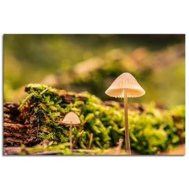 Imagem de Mushrooms Poster Nature Canvas Prints Moss Wall Art For Home Office Decoration Noframed 30.5 cmx20.3 cm