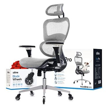 Imagem de Oline ErgoPro Cadeira ergonômica de escritório – Cadeira de mesa com apoio de braço ajustável 3D, suporte lombar 3D e rodas de lâmina – Cadeira de computador de malha, cadeiras de jogos, cadeira giratória executiva (cinza claro)