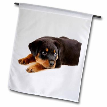 Imagem de 3dRose Fl_4185_1 Filhote de Rottweiler, bandeira de jardim, 30,5 x 45,7 cm