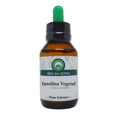 Imagem de Insulina Vegetal - Extrato 60ml (tintura Mãe)