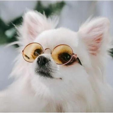 Imagem de Kit 5 Óculos Sol Pet para Gatos Cachorros Cães de Pequeno Porte - Kit 