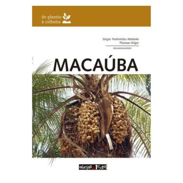 Imagem de Macaúba: Do Plantio À Colheita