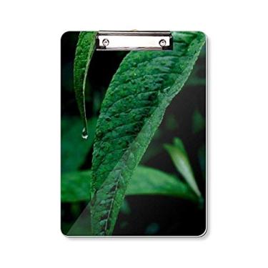 Imagem de Folha Plant Nature Fotografia Prancheta Pasta, Bloco de Escrita Placa de Apoio A4