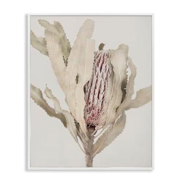 Imagem de Stupell Industries Arte giclée emoldurada preta com bordas botânicas de Banksia ocultas, design de Sisi e Seb, 50 x 40 cm