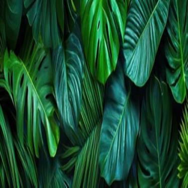 Imagem de Quadro Decorativo com Estampa Lush Green Tropical Leaves para Parede Moderna 30x30cm