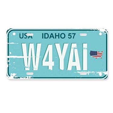 Imagem de DIYthinker Placa de carro americana com número de placa de licença de aço inoxidável para decoração de automóvel