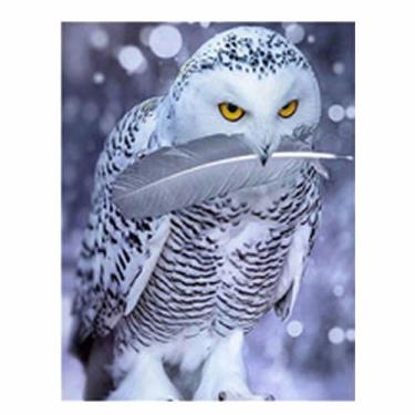 Imagem de Artesanato Pintura Diamante Diy 30X40 - CORUJA COM PENA - PPSHOP