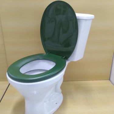 Imagem de Assento Tampa Vaso Sanitário Oval Universal Não Almofadado Resistente Confortável Diversas Cores(VERDE ESCURO - VD5)