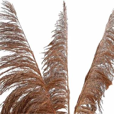 Imagem de Planta Seca Capim Cana Brava 120 cm - Pense Flores