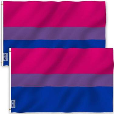 Imagem de Flag Anley Bi Pride 90x150cm, poliéster, pacote com 2