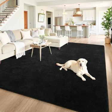 Imagem de Chicrug Tapetes minimalistas laváveis de 15 x 23 cm para quarto, sala de estar, sala de aula, tapete moderno de espuma viscoelástica macia para berçário infantil, tapete interno de camada baixa para