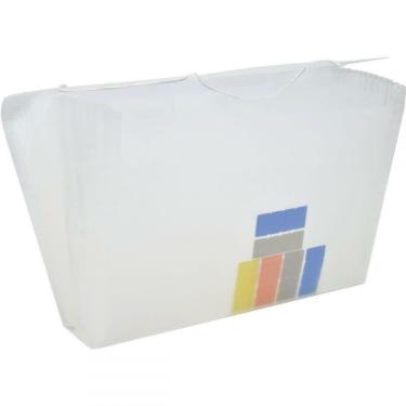 Imagem de Pasta Sanfonada Plástica Duplicata 31 Divisões Cristal