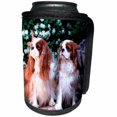 Imagem de 3dRose Envoltório para garrafa de refrigerador, 26,6 cm por 11,4 cm, dois Blenheim Cavalier King Spaniel