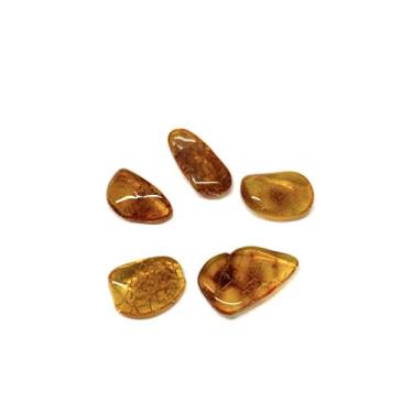 Imagem de Ian and Valeri Co. Pedras de âmbar báltico naturais conjunto de 5, Small, Âmbar, Âmbar