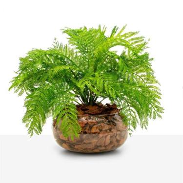 Imagem de Arranjo Vaso Vidro Planta Samambaia Verde Silicone Realista - Floralis
