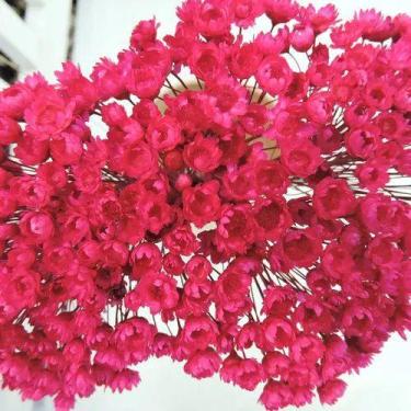 Imagem de 1200 Sempre Viva Para Decoração - Pense Flores, Pink