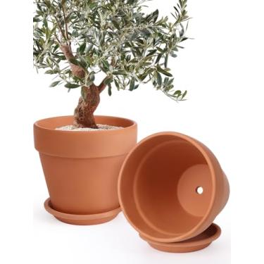 Imagem de INGOFIN Conjunto de 2 vasos de terracota de 30 cm com pires - Vaso de cerâmica para plantas com orifício de drenagem, grande vaso de flores de terracota com bandeja para plantas internas e externas
