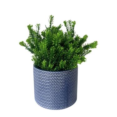 Imagem de Vaso Em Cerâmica Com Planta Basic Azul Strasbourg Elements 15x13cm