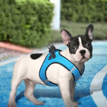 Imagem de Peitoral antipuxão para cães pequenos – Colete de tecido Oxford durável com tiras refletivas, malha respirável, fácil de usar azul M (pescoço: 29,5 cm - 32,5 cm, peito: 39,5 cm - 41,5 cm)