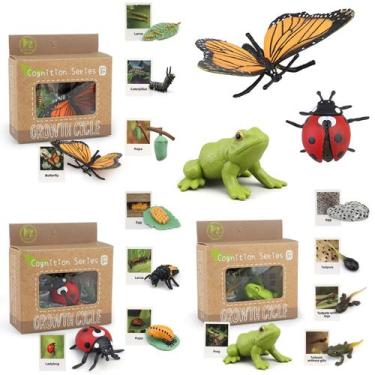 Imagem de Toy Montessori Life Cycle Learning MIKNEKE Ladybug Butterfly