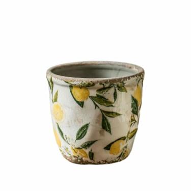 Imagem de LANDENGWANG Vasos de plantas com padrão de limões de primavera, vasos de suculentas, 10 cm D - 18,5 cm D, vasos grandes com orifício de drenagem, vasos decorativos de jardim, presentes de inauguração