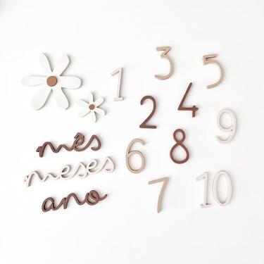 Imagem de Kit Mesversário Margaridas em MDF - Cenário Completo para Fotos do Bebê - 15 Peças - Decoração Minimalista