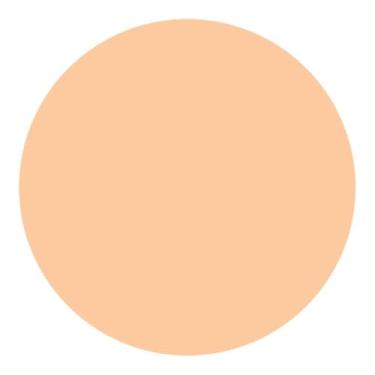 Imagem de Shiseido UV Protective Compact Foundation Light Ivory - Protetor Solar Facial Compacto FPS 35 Refil 12g