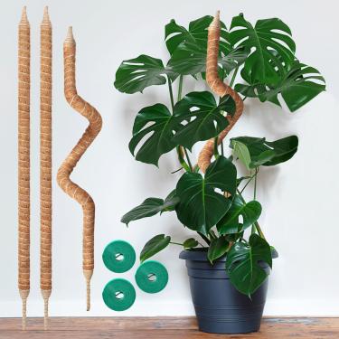 Imagem de Vanut Pacote com 3, mastro de musgo de planta dobrável e resistente de 89 cm para Monstera, presentes para amantes de plantas, videiras pothos, filodendro, cacto espinha de peixe e plantas de casa