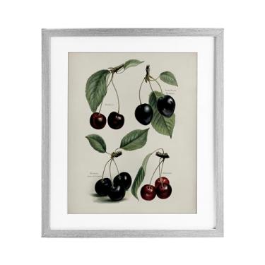 Imagem de Stupell Industries Natural Detailed Cherry Studies Impressão emoldurada cinza sob vidro, design por Lettered and Lined, 16 x 13