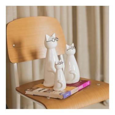 Imagem de Gato em pe com oculos pequeno - bras continetal
