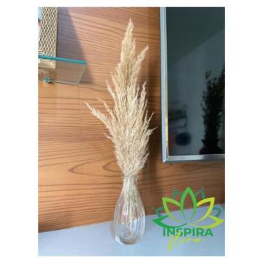 Imagem de Vaso Garrafa De Vidro C/Pampas Plumas Desidratado c/Tampa Cortiça Rolh