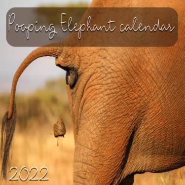 Imagem de Pooping Elephants 2022 Calendar: | 12 Month - Cool Poop Photo Calendar | 8.5"x8.5" Squared Monthly Calendar |Pooping Animals| Humorous White Elephant Gag 2022 Calendar Present for Birthday Christmas