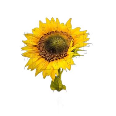 Imagem de 4 Quebra-Cabeças De Flores Coloridas Do Mundo De 40 Peças