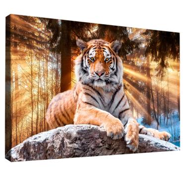 Imagem de Quadro Decorativo Tigre Iluminado