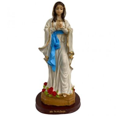 Imagem de Escolha sua Imagem Nossa Senhora em Resina Tamanho Grande