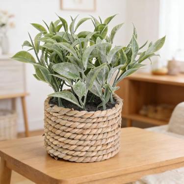 Imagem de Plantas artificiais verdes de 11 cm de tecido de eucalipto em vasos pequenos para decoração de casa (folhas pontiagudas-7,8 x 13 cm)