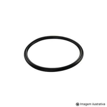 Imagem de Guarnição Módulo Combustível Blazer 2.2 4C 8V 96 ... 00 / Blazer 4.3 V6 12V 96 ... 00 / S10 2.2 4C 8V 96 ... 00