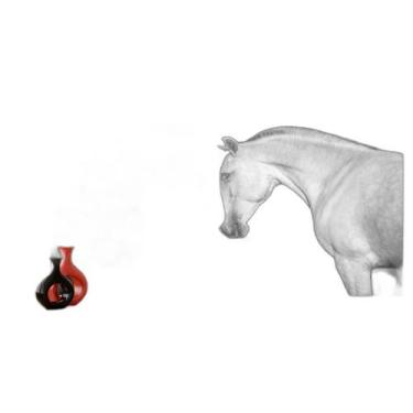 Imagem de Papel De Parede Animais Casal Cavalos Fazenda 3,5M Anm346 - Você Decor