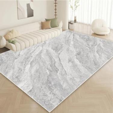 Imagem de Tapete minimalista moderno em tons claros para sala de estar, área do sofá, mesas de centro, sem fiapos, decoração para quarto (120x180cm 47x71in/Sem fiapos-2)