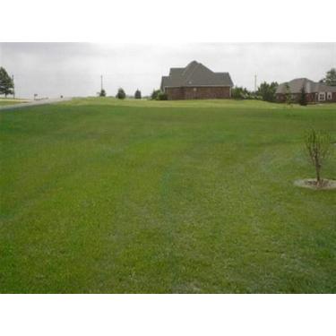 Imagem de Sementes de Grama Bermudas de 1 Kg campo - Realpecuaria