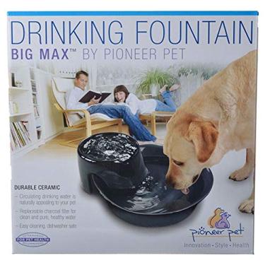 Imagem de Pioneer Pet Fonte de Cerâmica para Bebidas Big Max