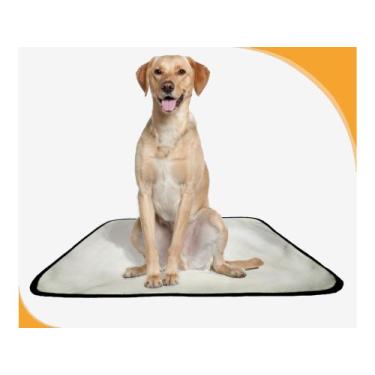 Imagem de Fralda Móvel Pet Para Cachorros Lavável 10Un M 60X80 Cm - Shelby Moda 