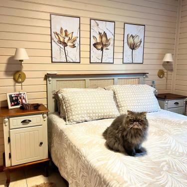 Imagem de Cabeceira De Cama Com Rattan Branco Laca E Tampo Imbuia Glazer - Queen - 158 Cm