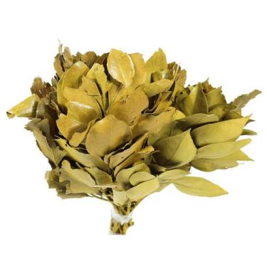 Imagem de Carne de Vaca / Carvalho Amarelo - Tem Flores