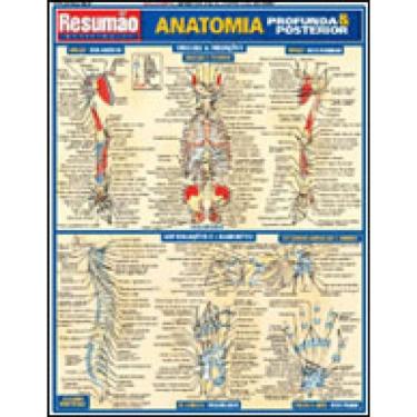 Imagem de Anatomia Profunda E Posterior: Resumao