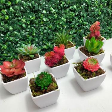 Imagem de Kit 3 Mini Suculenta Artificial Mini Vaso de Plástico Branco - Multsho