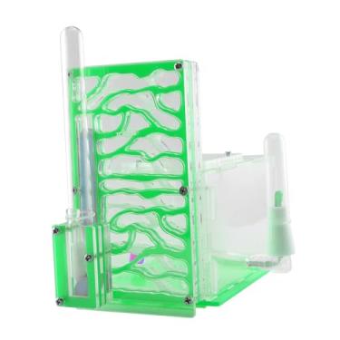 Imagem de MFMEXUL de Formigas Compacto de Acrílico Transparente com Alimentador, Ideal para Aprendizado Sobre Umidade, Ideal para Cozinha, Verde